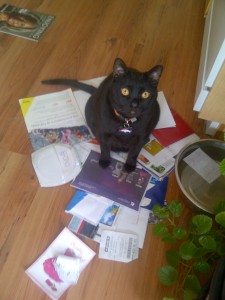 This is Mojo's way of welcoming me back after being gone almost 4 weeks...by knocking off the counter and dancing in the mail pile. Thanks buddy.